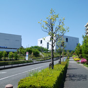 DSC-0004