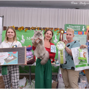DSC-0515