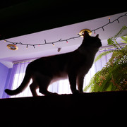 IMG-20220125-150340