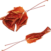 Leaves01