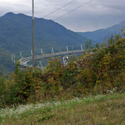 DSC-6931