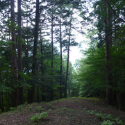P1340654