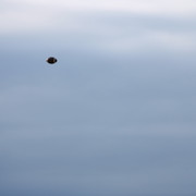 IMG-2155
