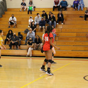IMG-0117