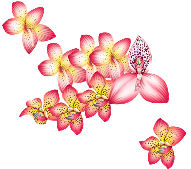 36e8fd8d29f3511abf26cd8c8c4cc1af