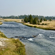 IMG-7710