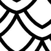00247