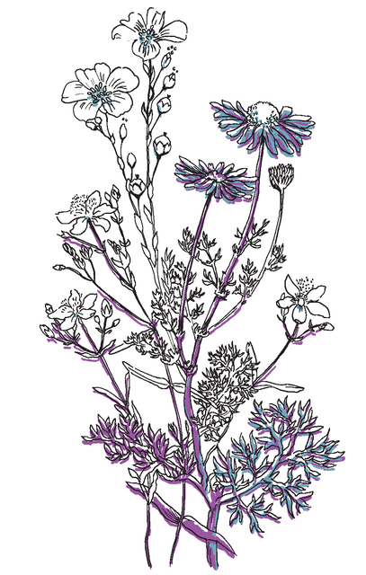 shutterstock 348787409 (1).png
