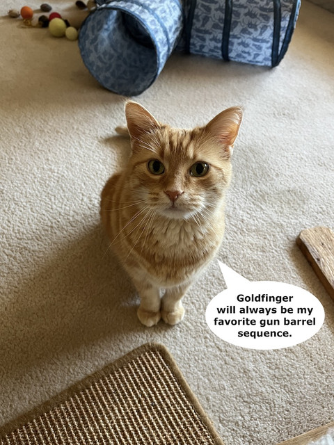 Harpo Agrees on Bond.jpg