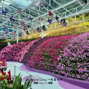 Agro Market18