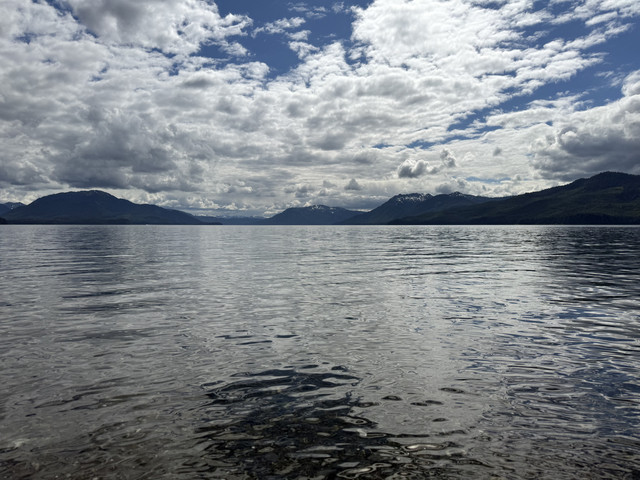 IMG 5997.jpg