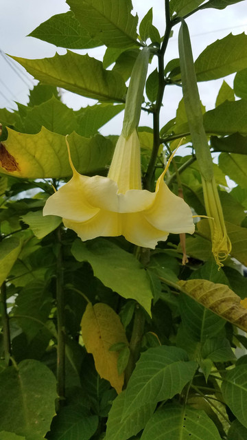 20190807 185158.jpg