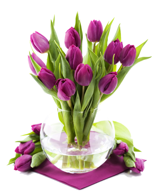 pngegg (45).png