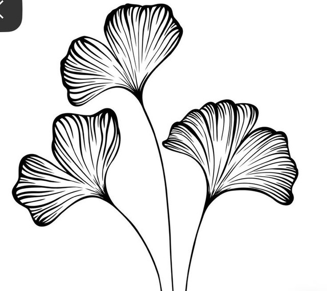 0df020bfec99c01cfd32eca1be0ae881.jpg