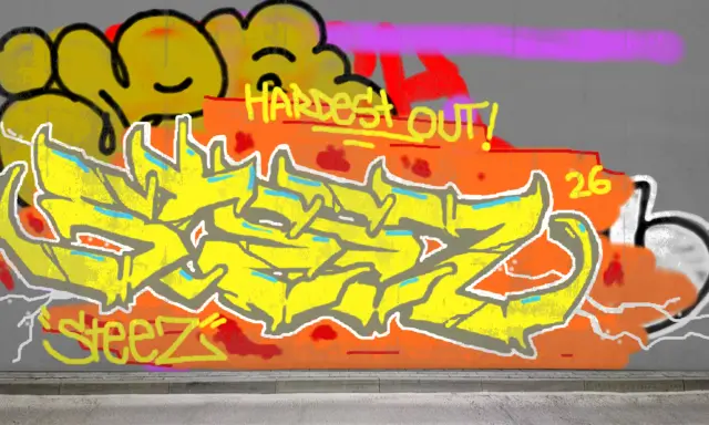 Graffiti artwork by Steez116