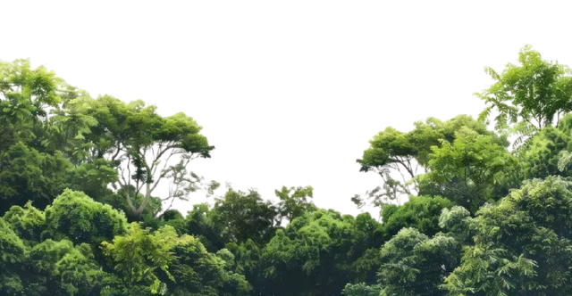 399b0d72b4fa7e3fe384d9c4b6ffab87 removebg preview.png