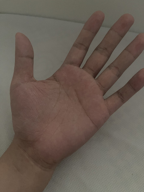 IMG 1313