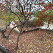 IMG 0389