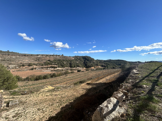 Vignobles d'Ametller, Priorat