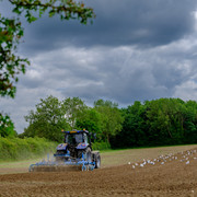 DSF1808
