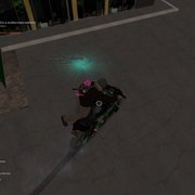 image 29