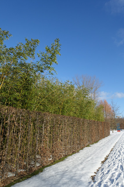 DSC09804.jpg
