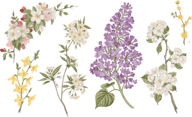 shutterstock 1300632595 Converted.png