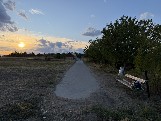 IMG 2774