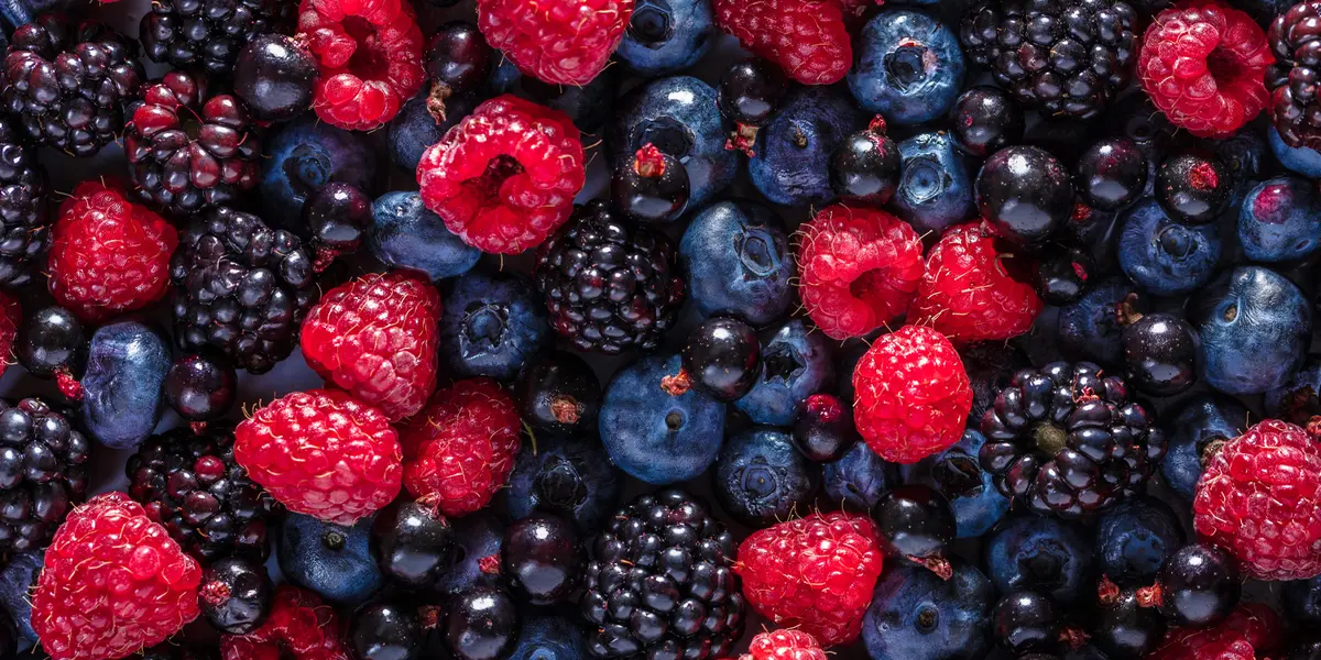 Berries and Tea May Delay Brain Aging