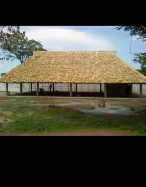 [Imagen de Rancho de Palma]
