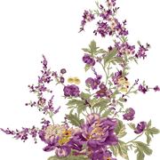 shutterstock 2123032265 copy