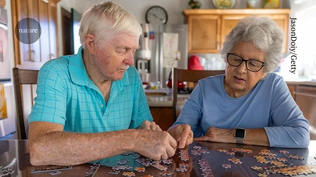 Immune Cells Linked to Cognitive Decline