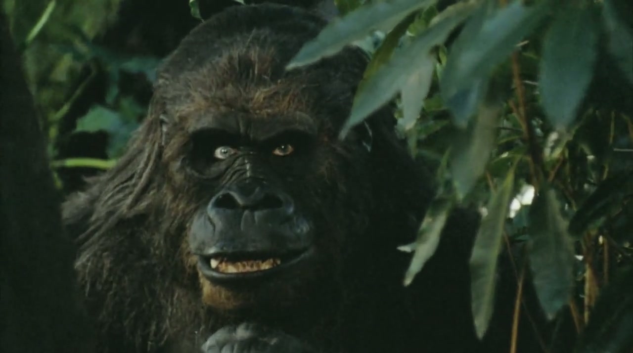 Tarzan in Manhattan Screenshot
