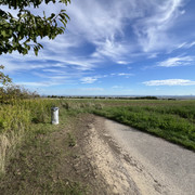 IMG-3348