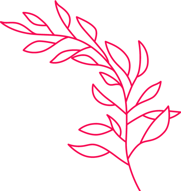 15.png