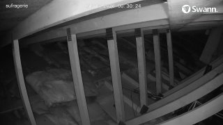 RAT5 - 20260113-002846