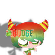 Budge-studio