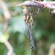 L1030814
