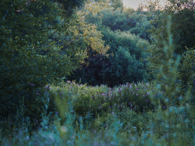 P7233181