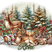 xcd-tk-le1115-ban-Roni-christy.png