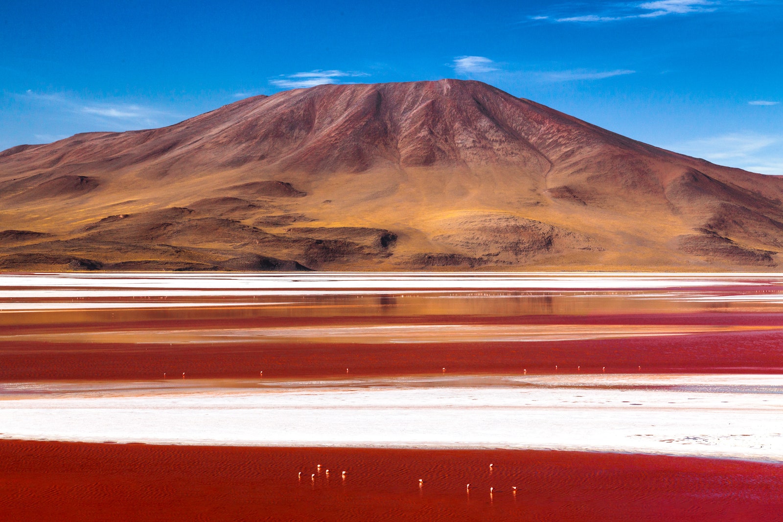 Laguna-Colorada-Bolivya.jpg