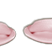 757436PETIT RAT CAJ 41png