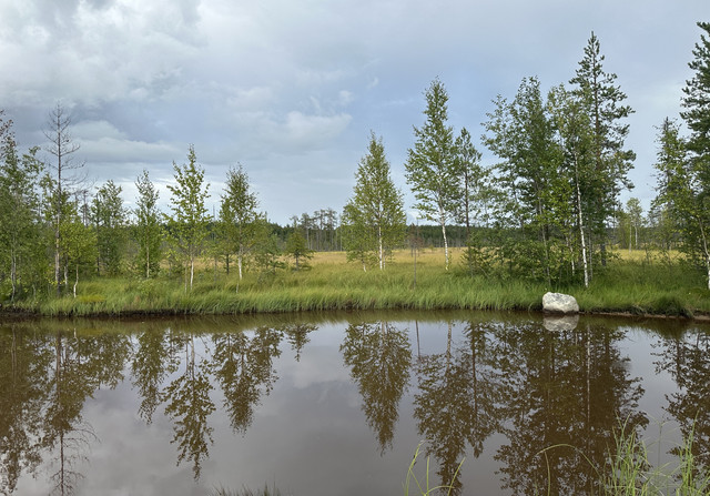 IMG 4757.jpg