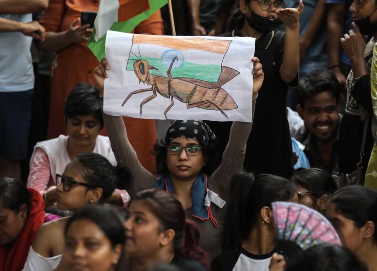 Cockroach protests: parents of Indian students who took their own lives reveal pressure of leaked exam papers and resits