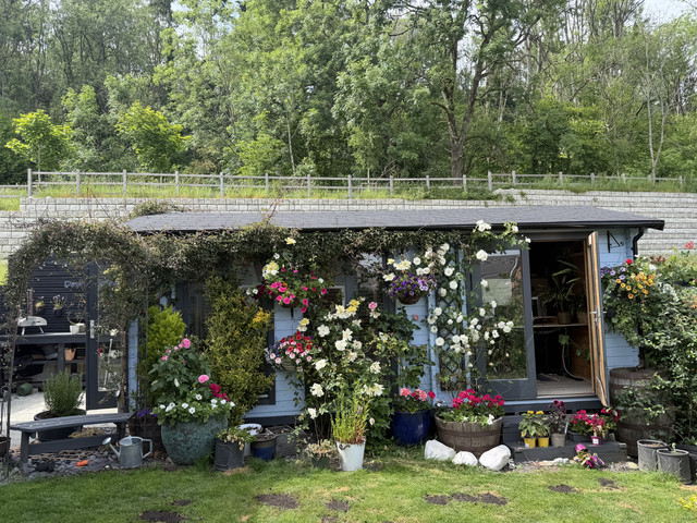IMG 0996
