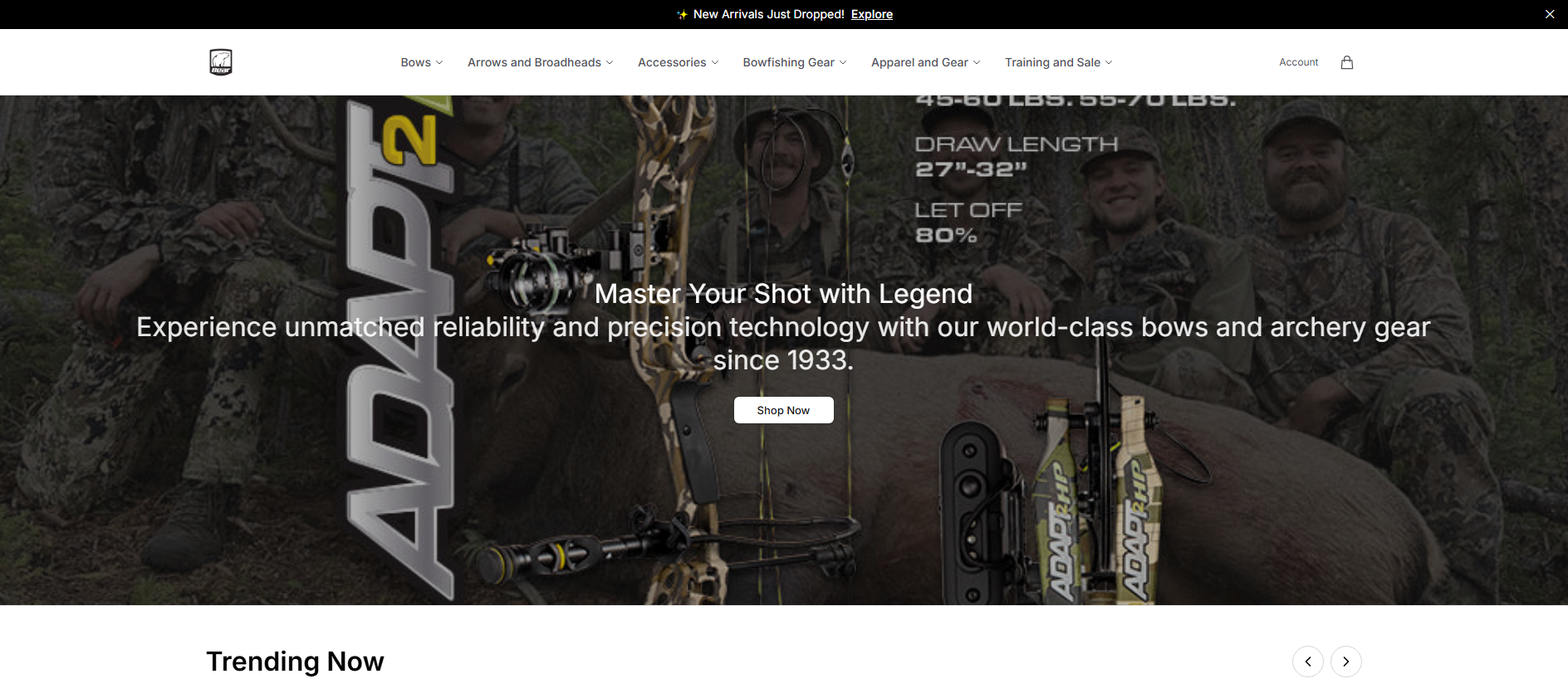 Stored capture of archerypoint.shop