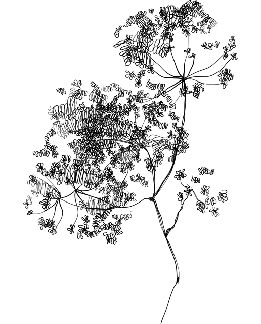 1025.png