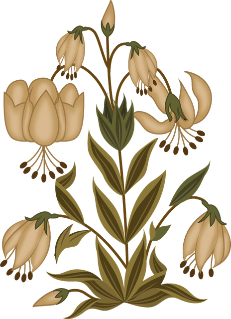 shutterstock 1496396612.png