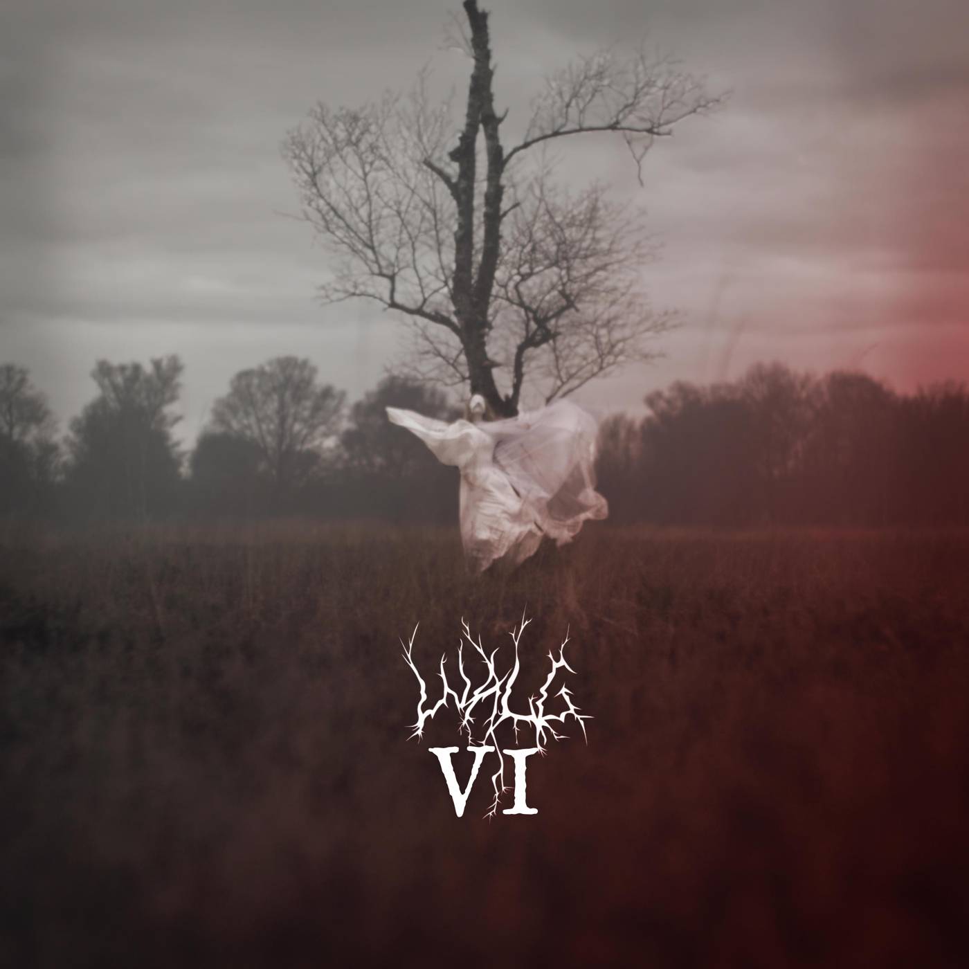 Walg - VI (2026)