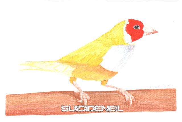 Painting12